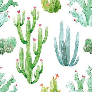 8" Watercolor Desert Cactus // White