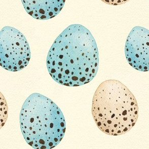Songbird eggs
