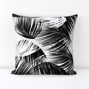 palm leaves - black