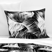 palm leaves - black