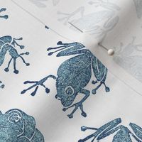 navy frogs on white