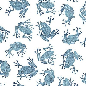 navy frogs on white