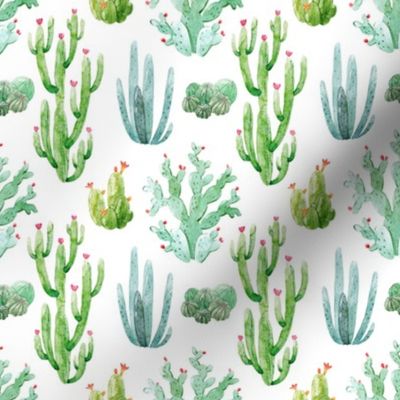 4" Watercolor Desert Cactus // White