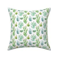 4" Watercolor Desert Cactus // White