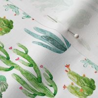 4" Watercolor Desert Cactus // White