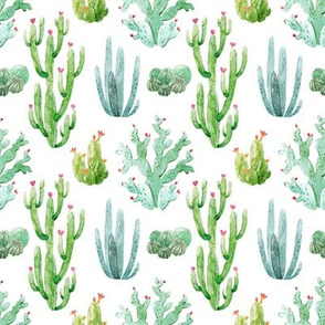 4" Watercolor Desert Cactus // White