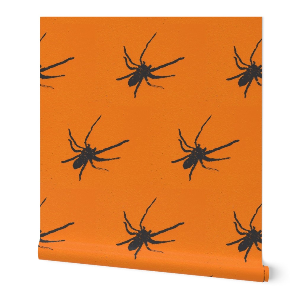 Halloween Spiders at University of Texas