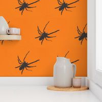 Halloween Spiders at University of Texas