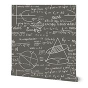 Common Equations - Charcoal // Large