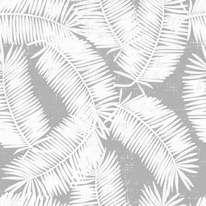 palm fronds on grey