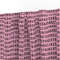 Pi on Pink // Small