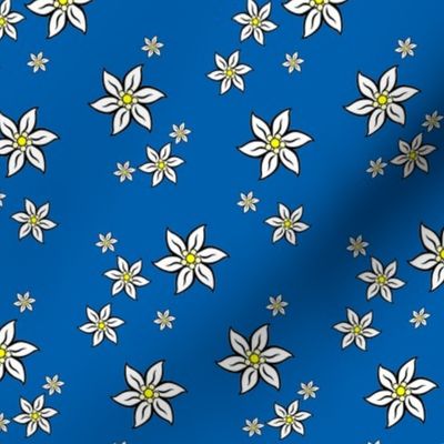 edelweiss - bavarian blue