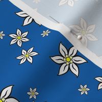 edelweiss - bavarian blue