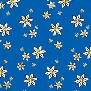 edelweiss - bavarian blue