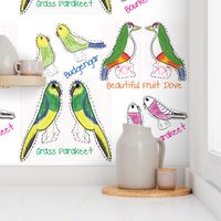 Exotic Bird Stuffed Animals