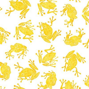 golden frogs on white