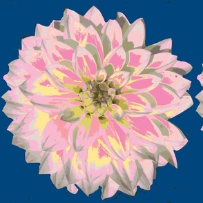 Dahlia More Pink Yellow on Naval background small