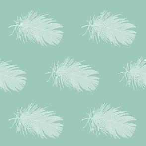 white feather on mint