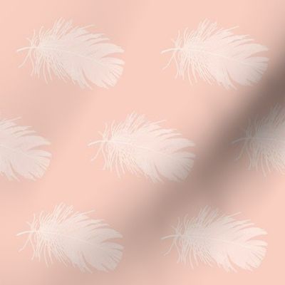 white feather on peach