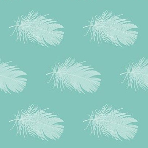 white feather on teal