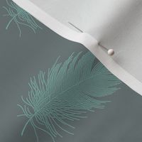 teal feather on grey