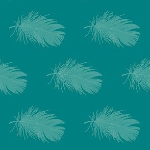 mint feather on teal