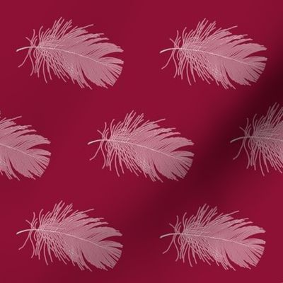 white feather on cranberry red