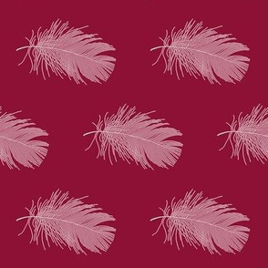 white feather on cranberry red