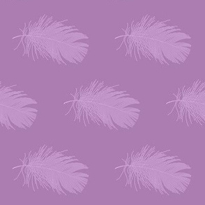 lilac feather on lavender