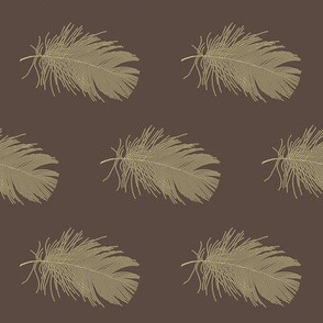 tan feather on brown