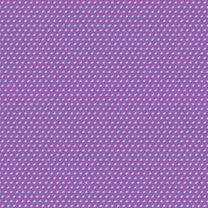 Blue Morning Glory purple background