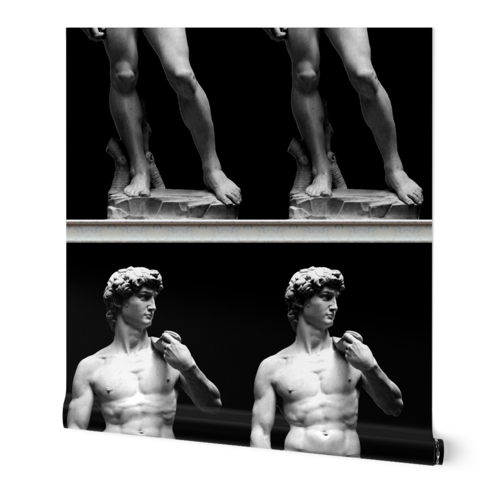 1 censored Michelangelo David statue Renaissance baroque rococo marble Italy Italian man human black white monochrome standing fig leaf nude naked nudity