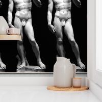 1 censored Michelangelo David statue Renaissance baroque rococo marble Italy Italian man human black white monochrome standing fig leaf nude naked nudity