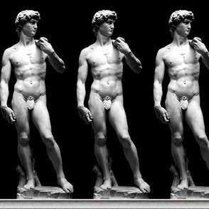 1 censored Michelangelo David statue Renaissance baroque rococo marble Italy Italian man human black white monochrome standing fig leaf nude naked nudity