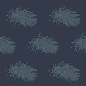 slate feather on navy blue