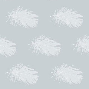 white feather on light blue-grey