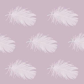 white feather on mauve