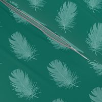 pale blue feather on spruce green