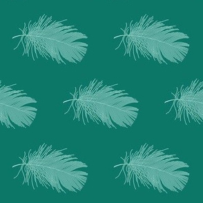 pale blue feather on spruce green