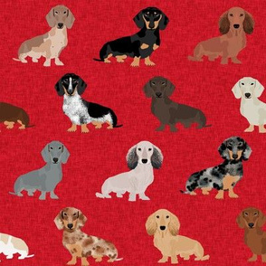 dachshund pet quilt a dog breed silhouette cheater quilt multi coats