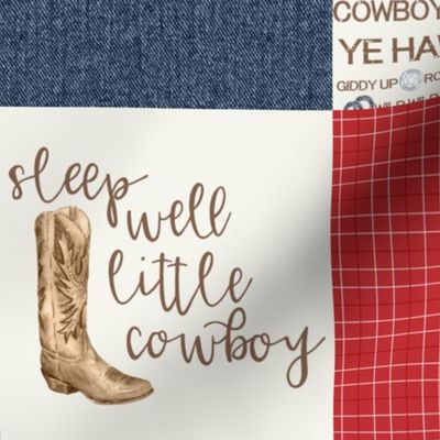Western/Sleep Well Little Cowboy - Wholecloth Cheater Quilt 