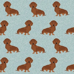 dachshund pet quilt b dog breed red coat quilt coordinates 