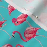 Flamingos on Teal Tropical Birds