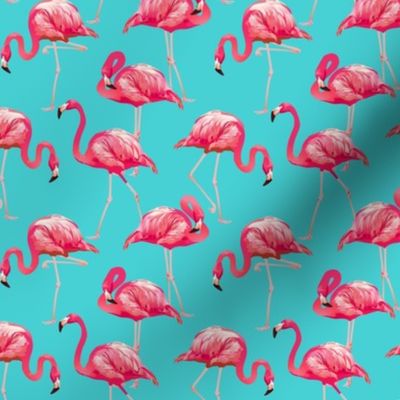 Flamingos on Teal Tropical Birds