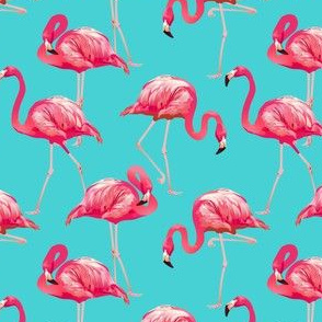 Flamingos on Teal Tropical Birds
