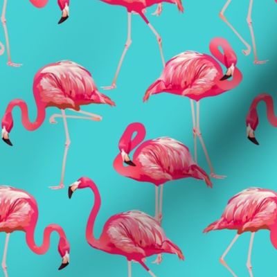 Flamingos on Teal Tropical Birds