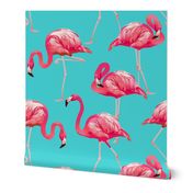 Flamingos on Teal Tropical Birds