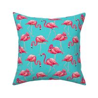 Flamingos on Teal Tropical Birds