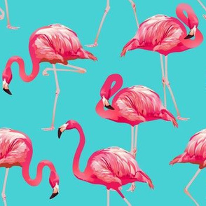 Flamingos on Teal Tropical Birds