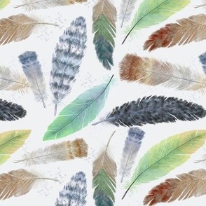 Feathers - Small